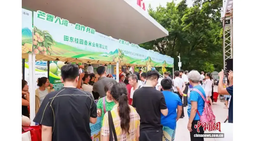 百色芒果对接湾区市场 达成15项产销合作签约