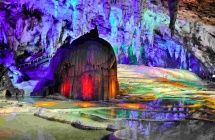 矮马枫情等您来赏——广西德保县举办2024年德保矮马红枫文化旅游观赏月活动