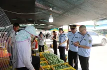 全链条闭环监管 百色启动时令水果联合执法 守护 “百色芒果” 质量安全
