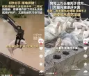 222亿的“伤口”，广西农业还要痛多久？