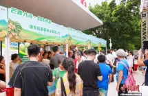 百色芒果对接湾区市场 达成15项产销合作签约
