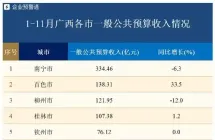 广西14市1-11月一般公共预算收入：百色大涨33.5% 8市同比下降