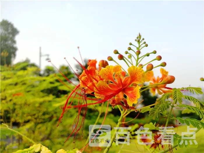 94856ac8a82447b7a70bb3d20862b184.webp