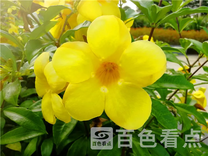 d360f0c2c82c46a4abd49b8421f7d8e4.webp