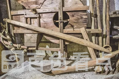 74101545699439222.webp