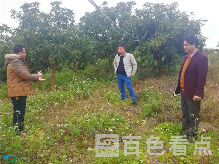 微信图片_20190107000248.webp