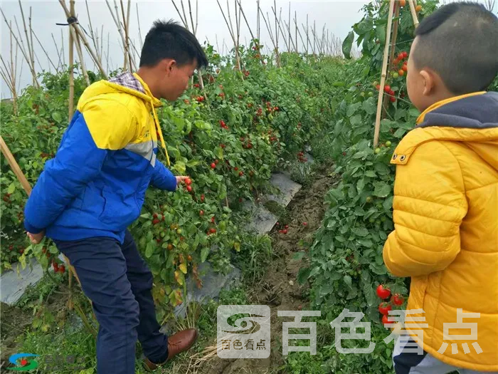 微信图片_20190107000309.webp