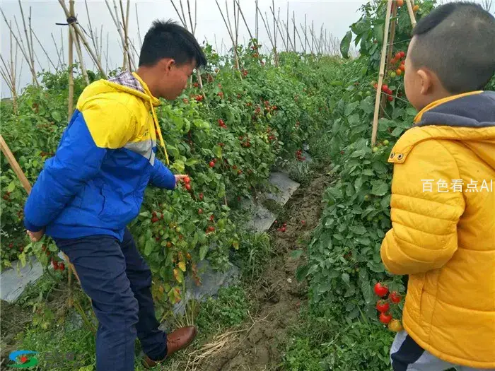微信图片_20190107000309.webp