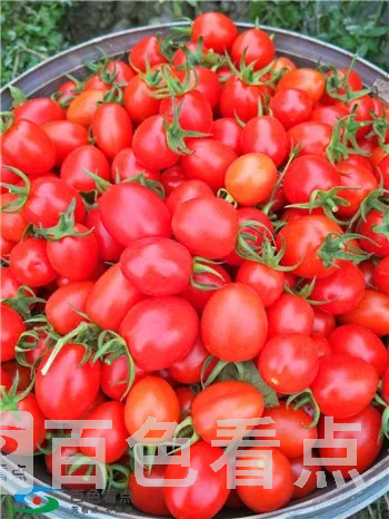 微信图片_20190107000323.webp