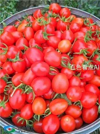 微信图片_20190107000323.webp