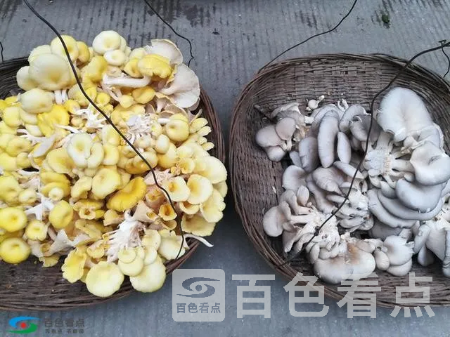 微信图片_20190213163725.webp