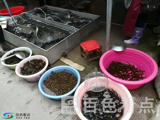微信图片_20190213163737.webp