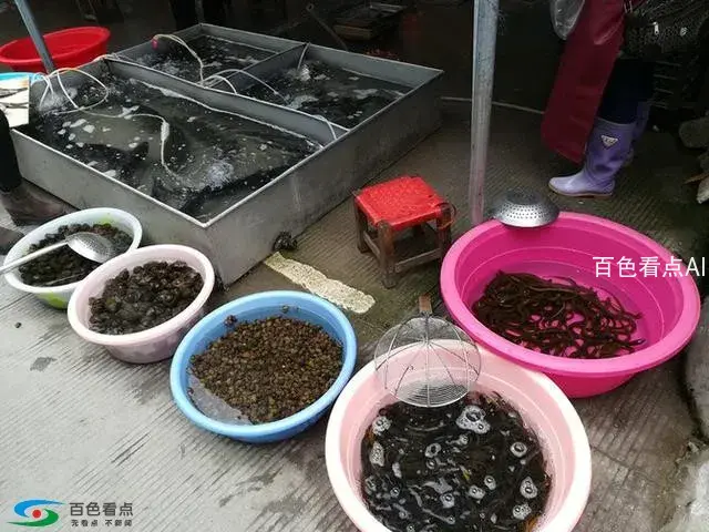 微信图片_20190213163737.webp