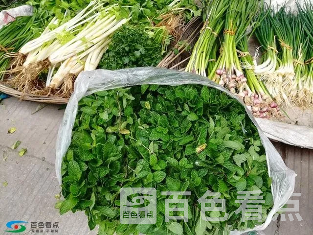 微信图片_20190213163733.webp