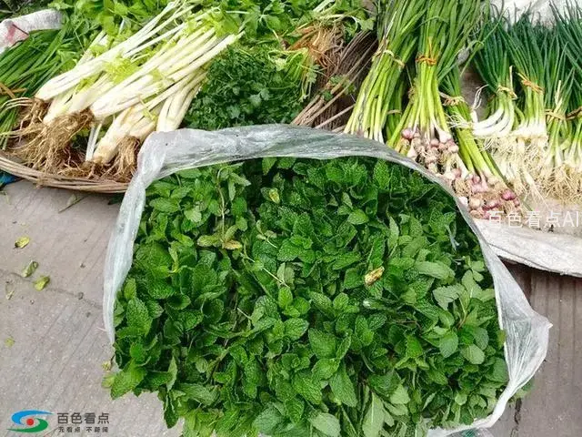 微信图片_20190213163733.webp