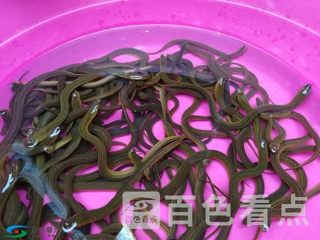 微信图片_20190213163740.webp