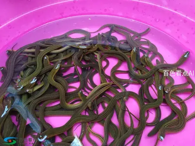微信图片_20190213163740.webp