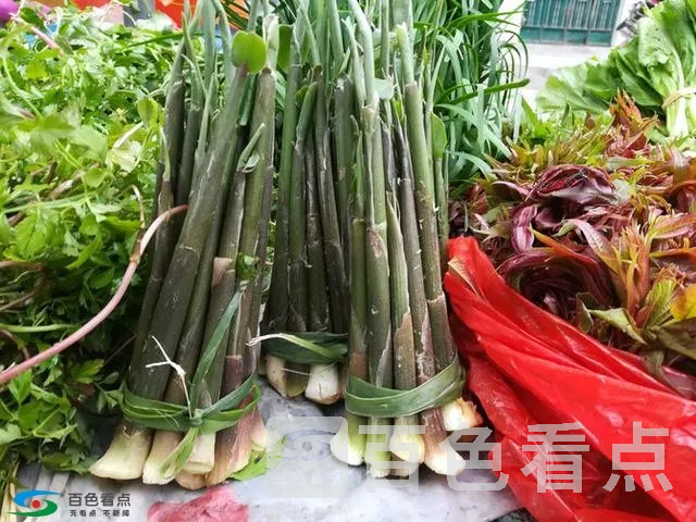 微信图片_20190213163753.webp