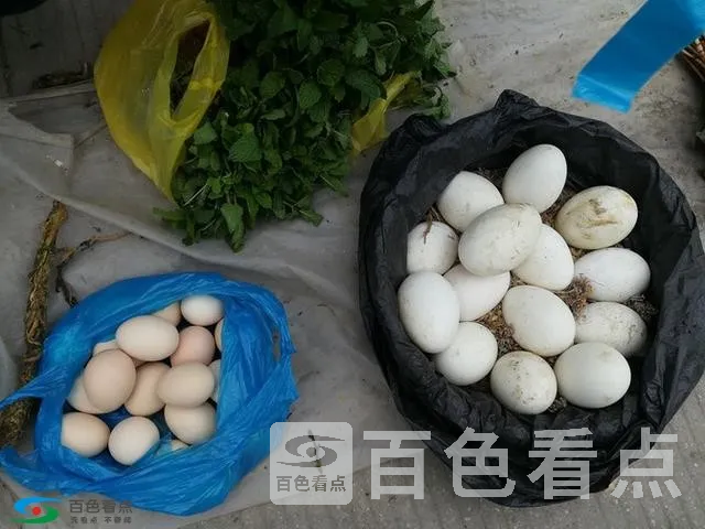 微信图片_20190213163743.webp
