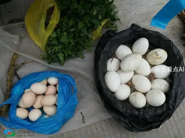 微信图片_20190213163743.webp