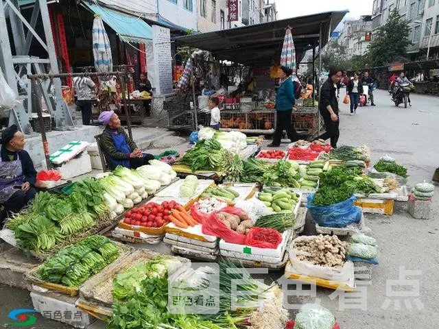 微信图片_20190213163804.webp