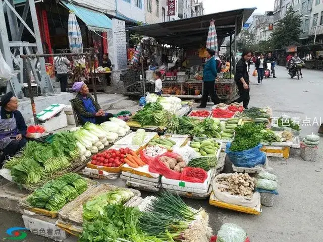 微信图片_20190213163804.webp