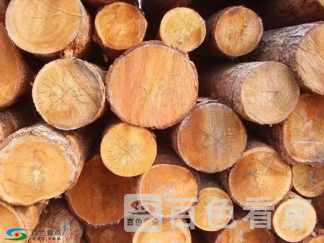 u=158248648,3326742060&amp;fm=173&amp;app=49&amp;f=JPEG.webp