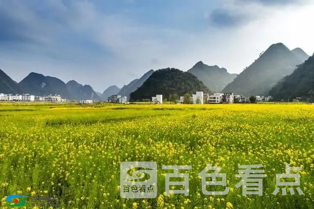 41da-fyrwsqi2809264.webp
