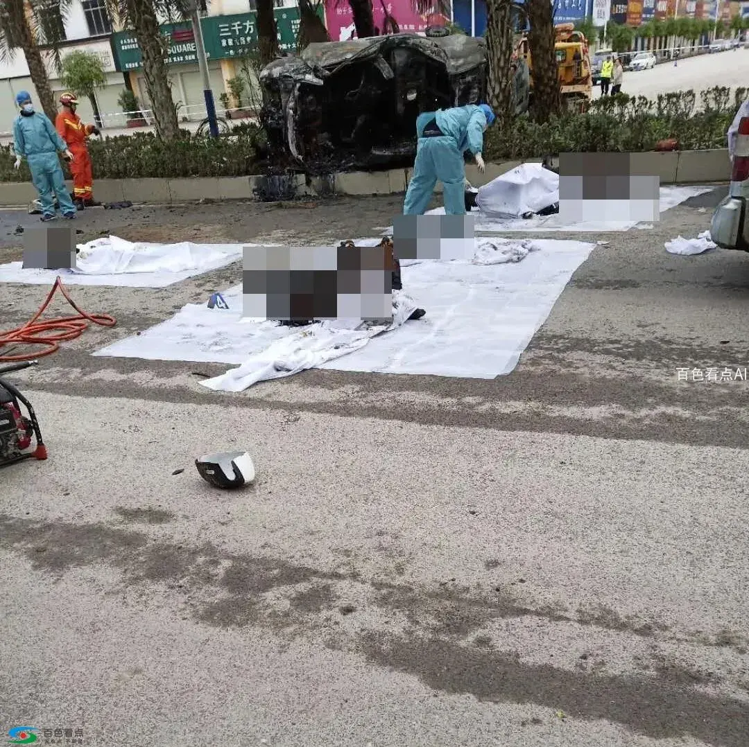 微信图片_20190219131338.webp