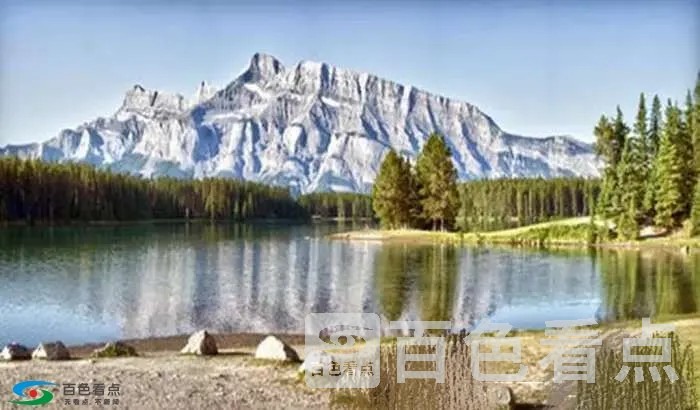 1551519737166614_295.webp