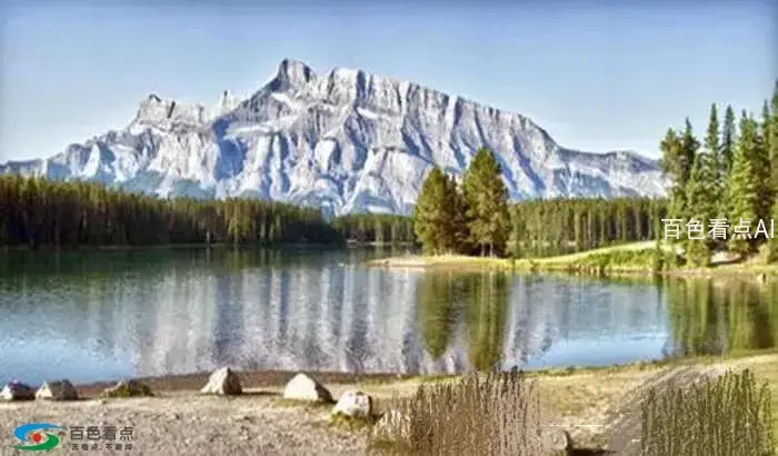1551519737166614_295.webp