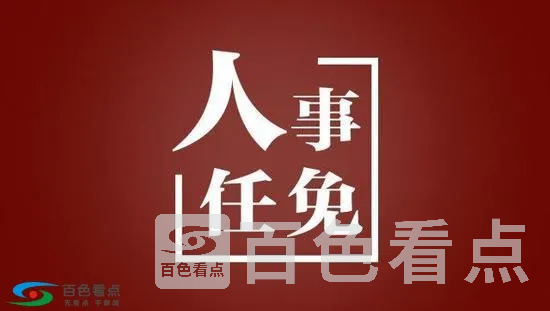 timg.webp