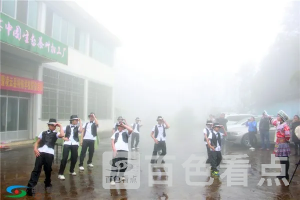 12.webp