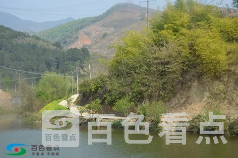 2b417f85-71a0-4603-a39d-5abb028889ce.webp