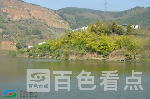 e3e9072c-f3b2-FD76-8c5b-e5db18f5f216.webp