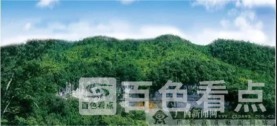 微信图片_20190402133606.webp
