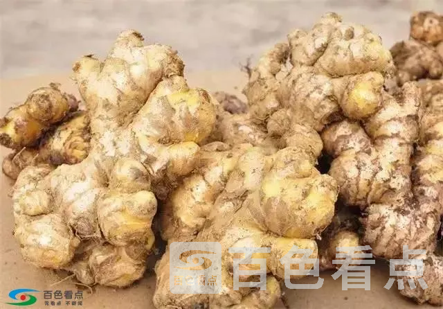 微信图片_20190402140542.webp