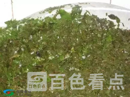 微信图片_20190402140547.webp