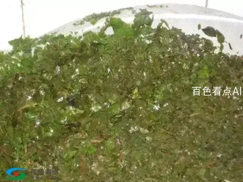 微信图片_20190402140547.webp