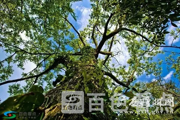 640.webp (21).webp