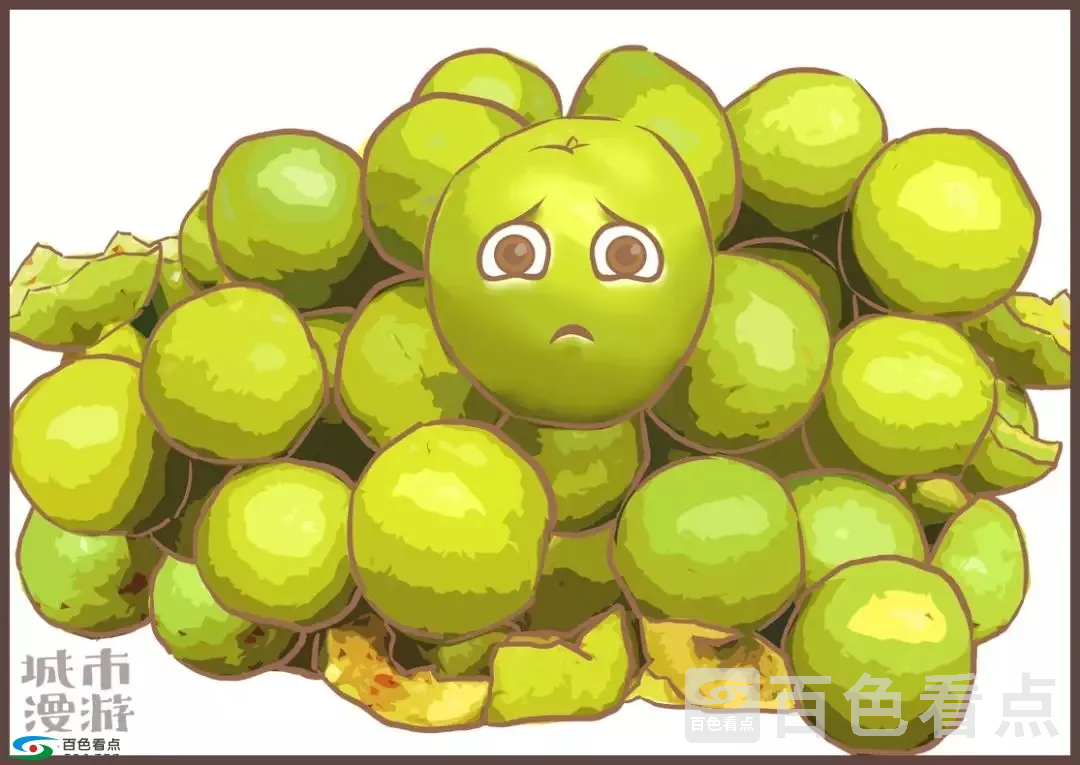640.webp (16).webp