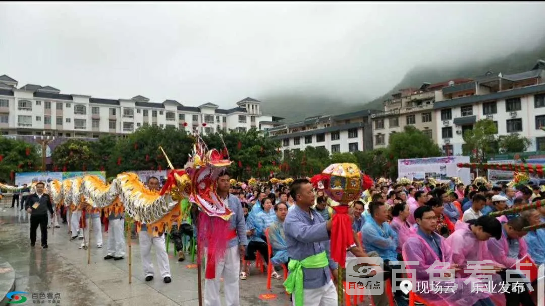 乐业芒果.webp