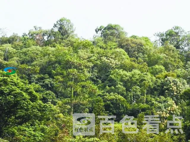 微信图片_20190702151553.webp