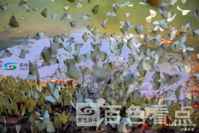 微信图片_20190705152629.webp
