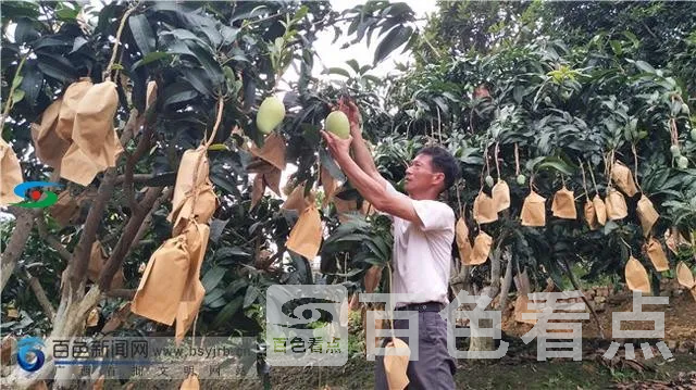微信图片_20190710092209.webp