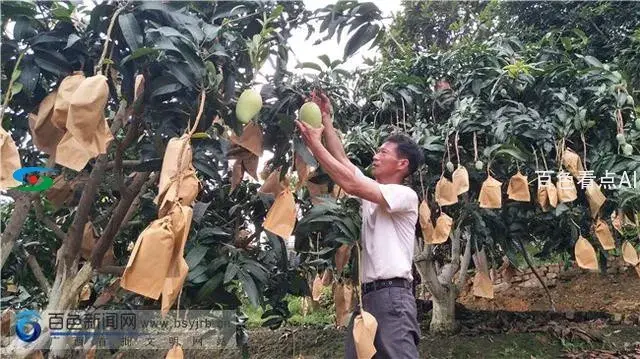 微信图片_20190710092209.webp