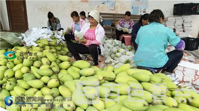 微信图片_20190710092212.webp