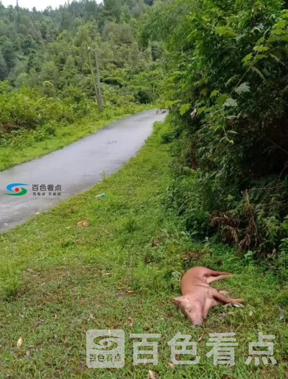 QQ截图20190725000604.webp