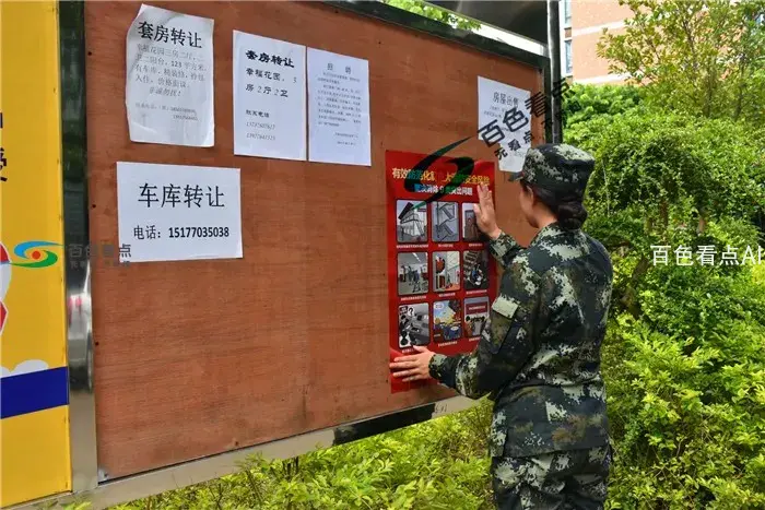 张贴宣传挂图.webp