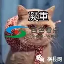 640.webp (2).webp